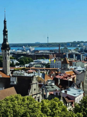 Comfort of city central with charming view, Tallinn